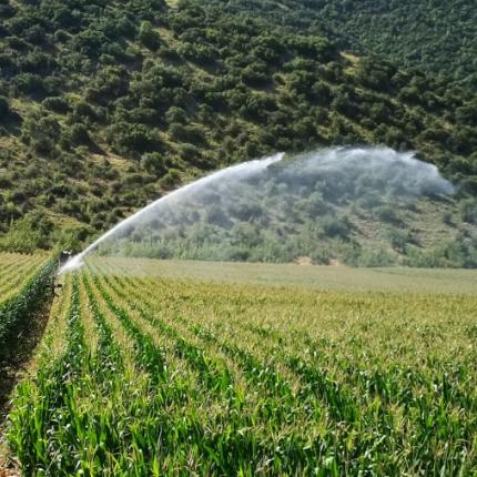 αρδευτικό νερό