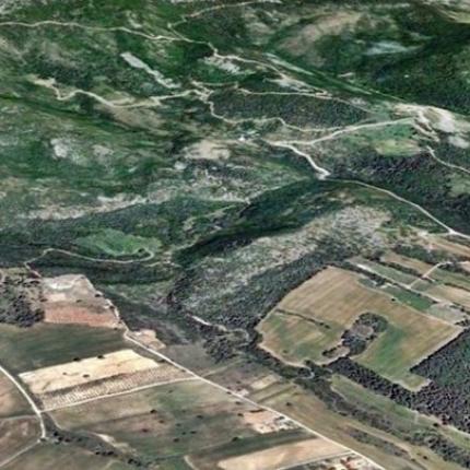 δασικοί χάρτες