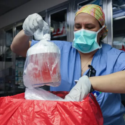 μεταμοσχευση