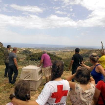 εξόρμηση - Μουσικό σχολείο 