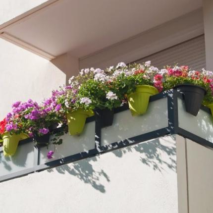 μπαλκόνι λουλούδια