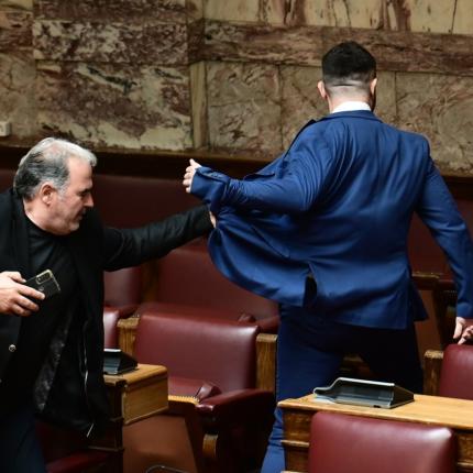 Βουλή - Ξύλο