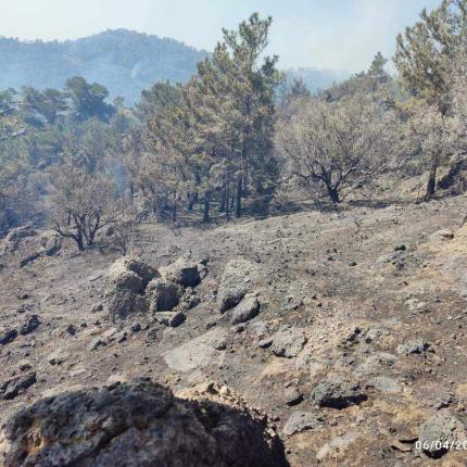 φωτιά στην Ιεράπετρα