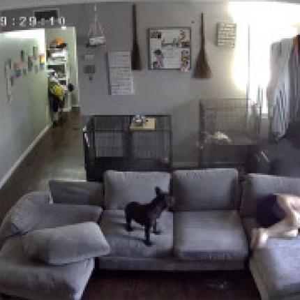 πυροβολισμοι