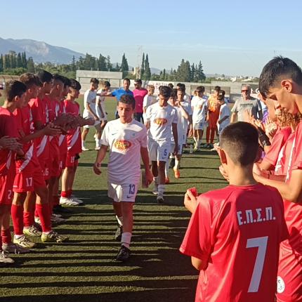 μικτη κ14 επση