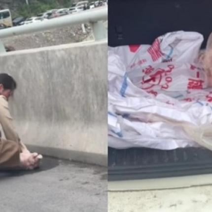 ΚΑΡΠΑ γουρούνι