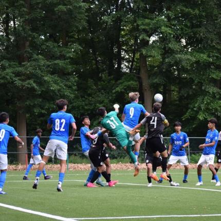 ΟΛΛΑΝΔΙΑ ΟΦΗ