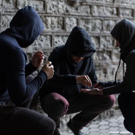 παραβατικοτητα εφηβων