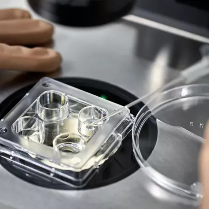 τενηχητη νοημοσυνη αναπαραγωγη