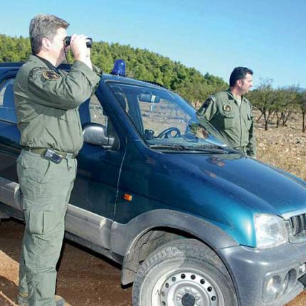 ΔΑΣΙΚΗ ΥΠΗΡΕΣΙΑ