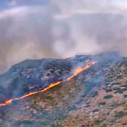 φωτιά Άνδρος 