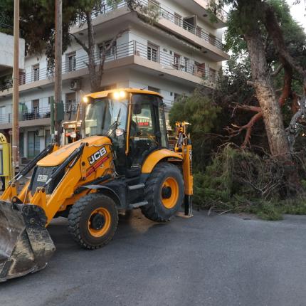 πτώση δέντρου