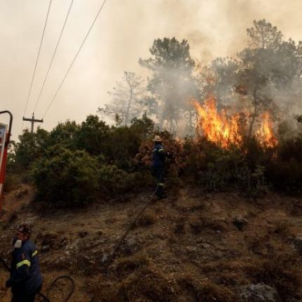 ΦΩΤΙΑ ΝΙΓΡΙΤΑ