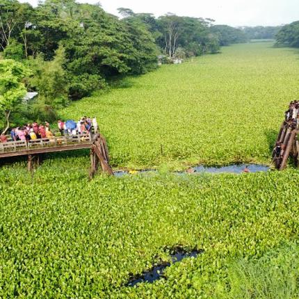 ΜΠΑΝΓΚΛΑΝΤΕΣ