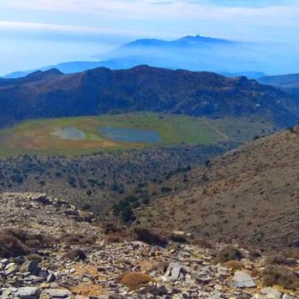 ομαλοσ βιαννου