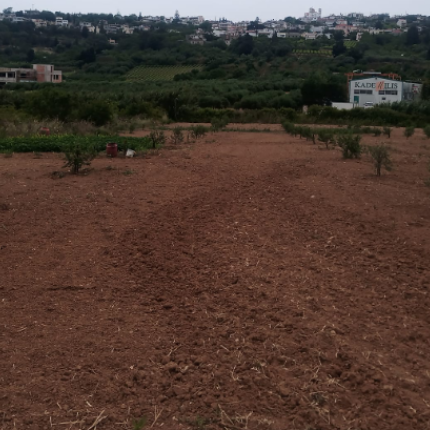 ΓΕΩΡΓΙΚΗ ΠΑΡΑΓΩΓΗ