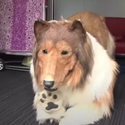 σκυλος ανθρωπος