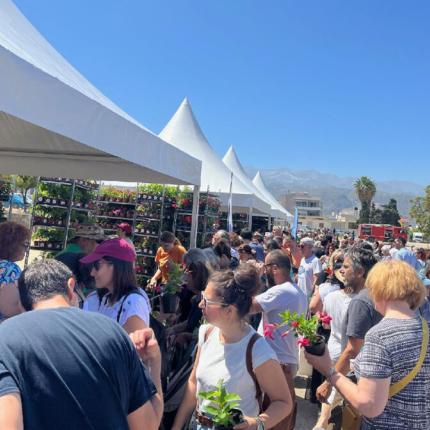 χανια - γιορτη περιβαλλον