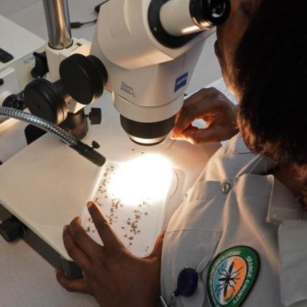 ιος - εργαστήριο 