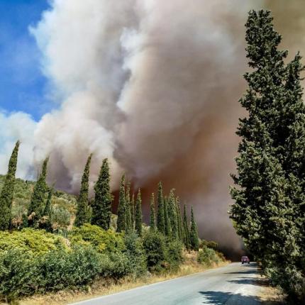 Φωτιά στην Εύβοια 