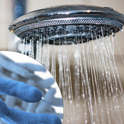 ΛΕΓΕΩΝΈΛΩΣΗ