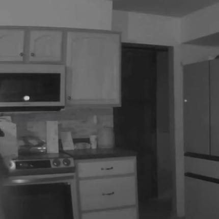 ΣΚΥΛΟΣ ΚΟΛΟΡΑΝΤΟ