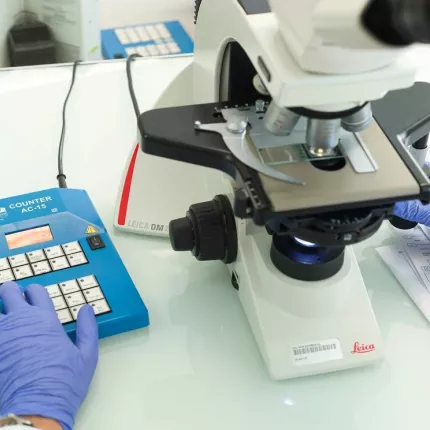 βακτηριο καρκινος 