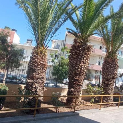 ΠΡΑΣΙΝΟ ΣΧΟΛΕΙΑ