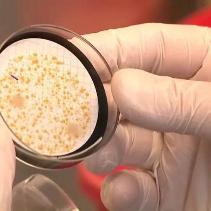 Νόσος των Λεγεωνάριων