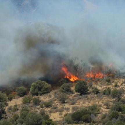φωτιά στο Ρέθυμνο 