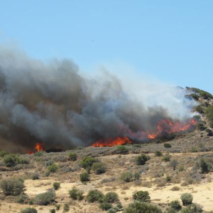 φωτιά στο Ρέθυμνο 