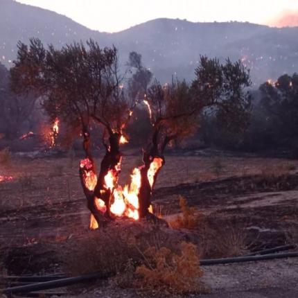 Φωτιά στο Ρέθυμνο