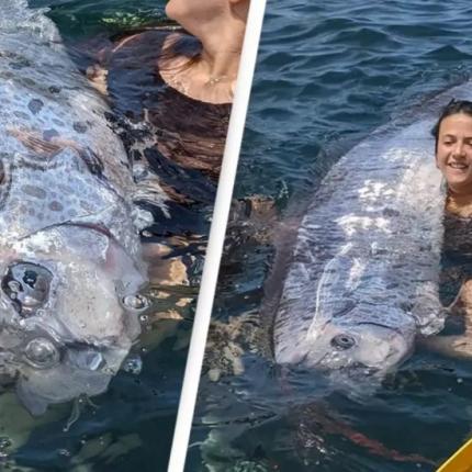 ψαρι γίγαντας