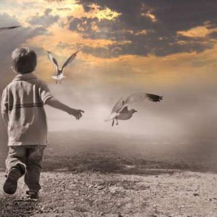 ενδοσκοπηση