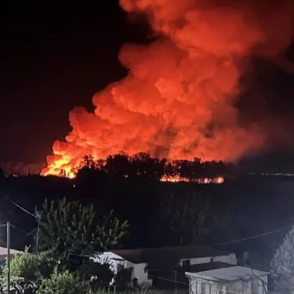 φωτια μεσολλογγι