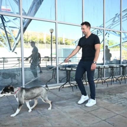 Κασσελάκης