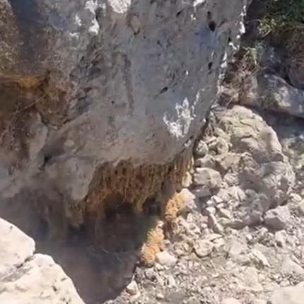 Καταρράκτης