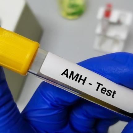 ΤΕΣΤ ΓΟΝΙΜΟΤΗΤΑΣ