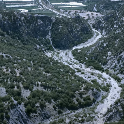 αναποδάρης