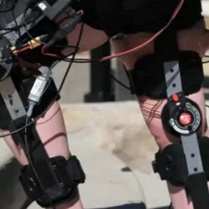 εξωσκελετος