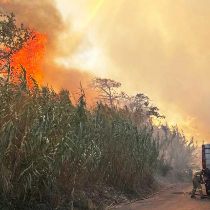 φωτια πλατανιας