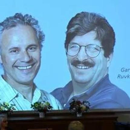 Νόμπελ Ιατρικής 