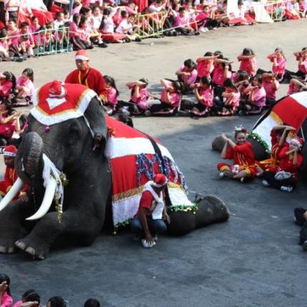 Ελέφαντες ντυμένοι Άι-Βασίληδες  .jpg