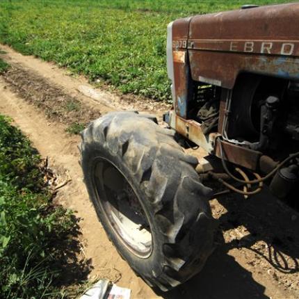 Ποιοι αγρότες απαλλάσσονται από τον βραχνά τήρησης των βιβλίων