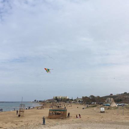 αρινα κουλουμα.jpg