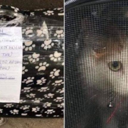 γατακι -σημειωμα