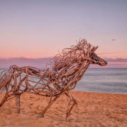 Γλυπτό από θαλασσόξυλα