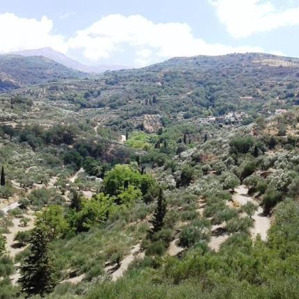 λεφεδ ηρακλειου πυροπροστασια.jpg