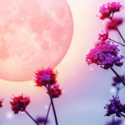 ζώδια-πανσέληνος