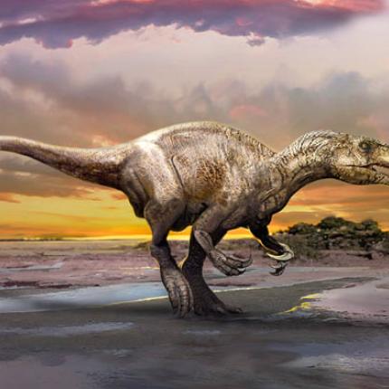 Murusraptor barrosaensis.jpg